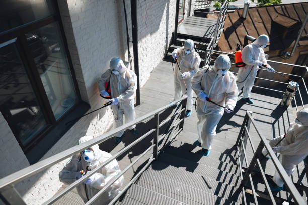 Professional Mold Removal in Wrens, GA